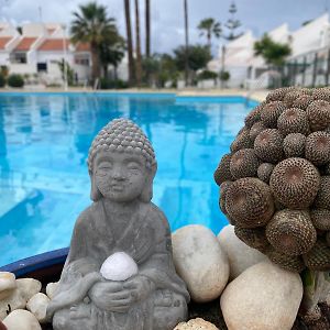 The Best House Tenerife Habitaciones Compartidas